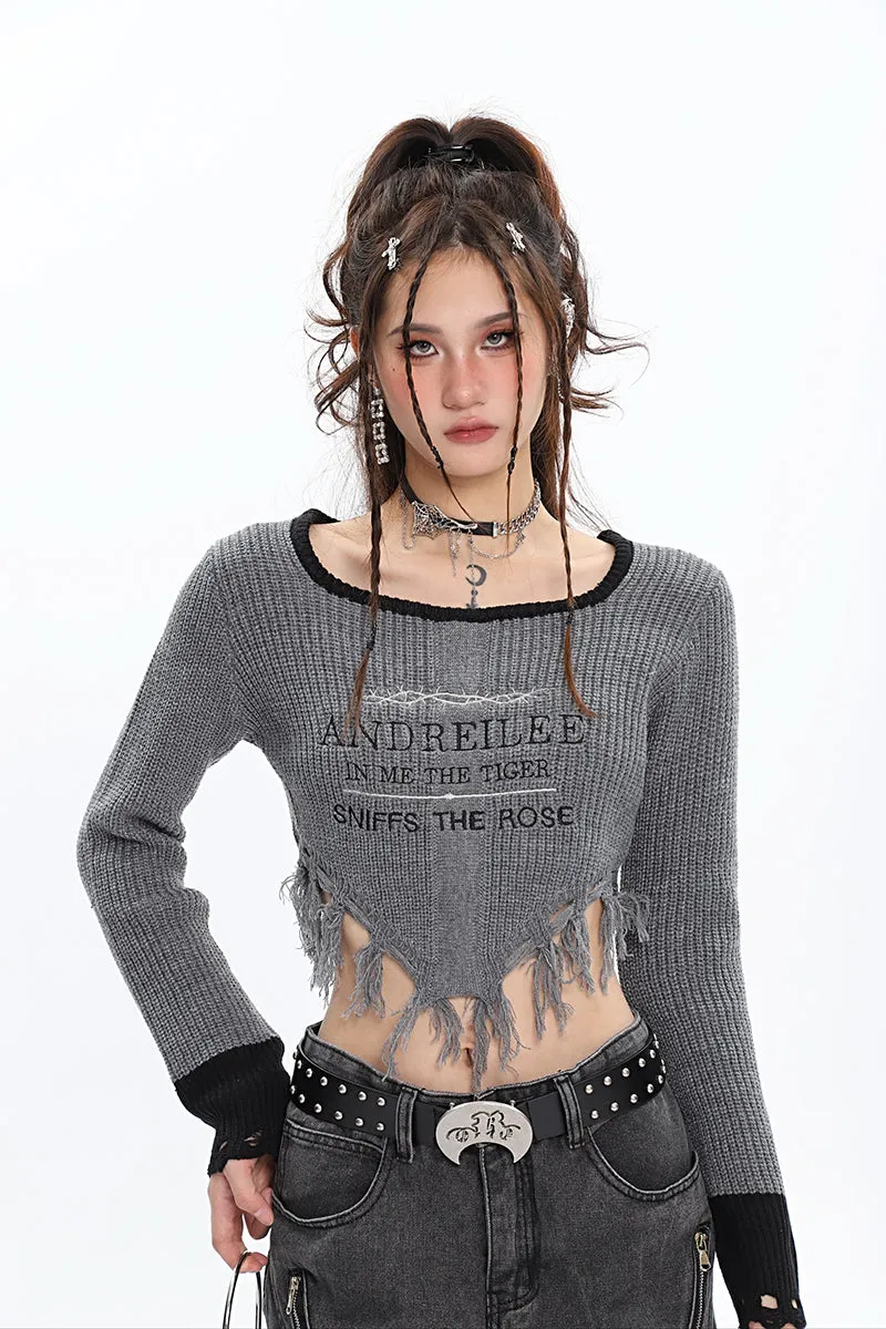 ANDREILEE Letter Embroidery Distressed Tassel Long Sleeve Cropped Sweater Top