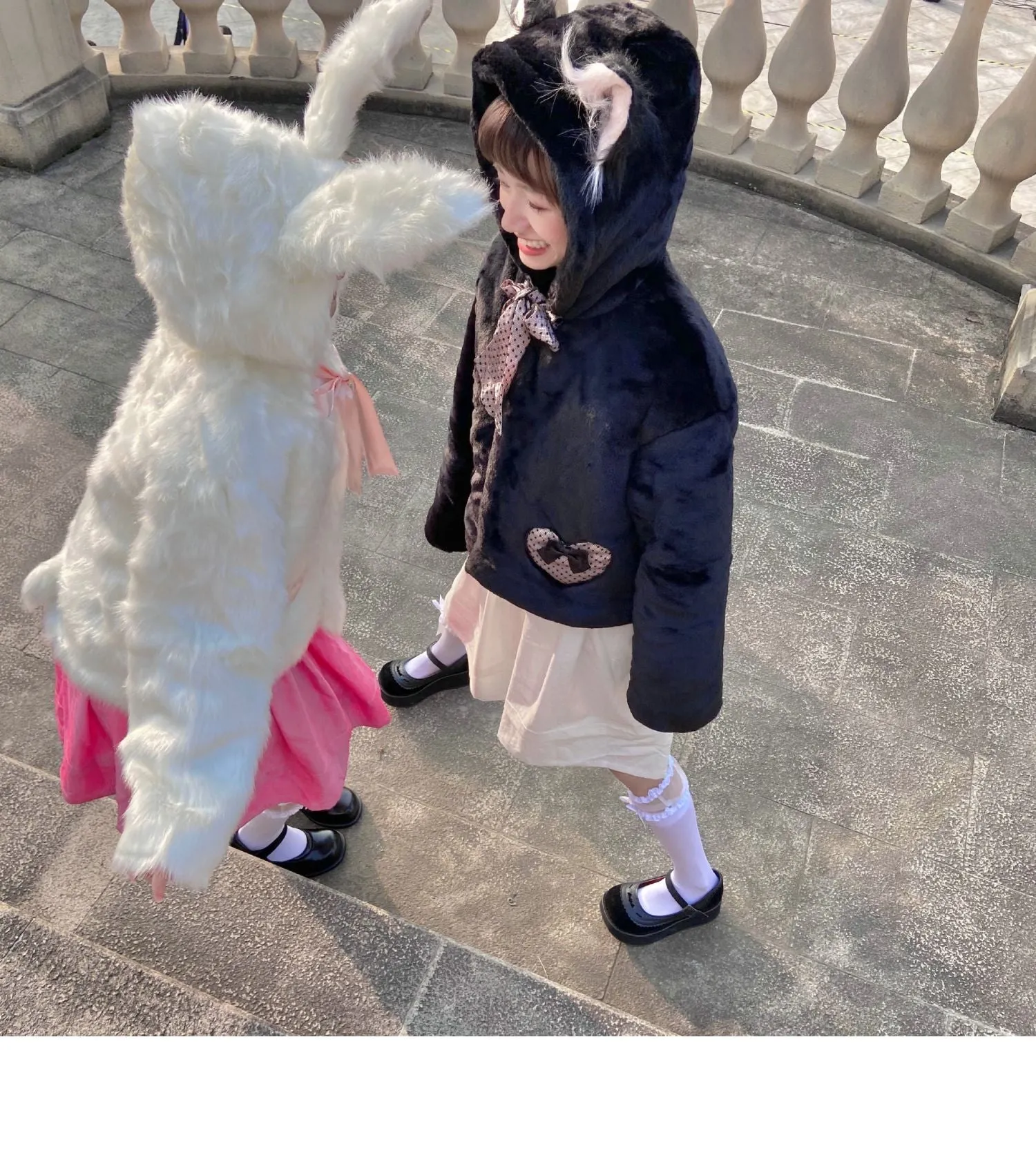 Fluffy long-haired cute rabbit cat coat