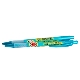 NEW! City Year Slim Frost Pen